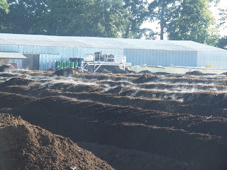 Can't have Amazing Organic Berries Without Compost!